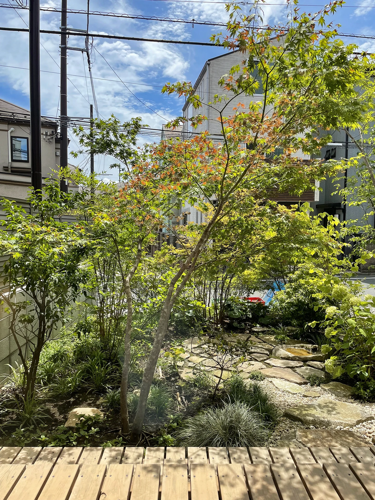 小竹町の家_10_エクステリア_植栽